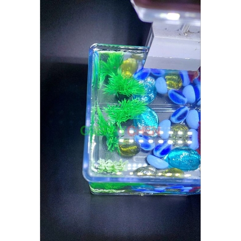 Hồ Nhựa Mini Nuôi Cá 15x12x15 - Betta , Guppy , Cá Thủy Sinh - Cao Cấp Siêu Trong