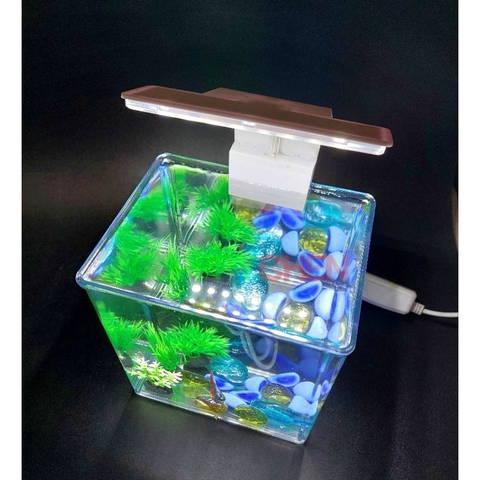 Hồ Nhựa Mini Nuôi Cá 15x12x15 - Betta , Guppy , Cá Thủy Sinh - Cao Cấp Siêu Trong