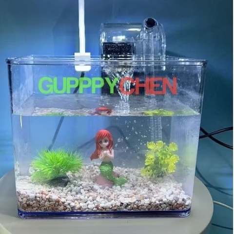 Hồ Nhựa Mini Nuôi Cá 15x12x15 - Betta , Guppy , Cá Thủy Sinh - Cao Cấp Siêu Trong