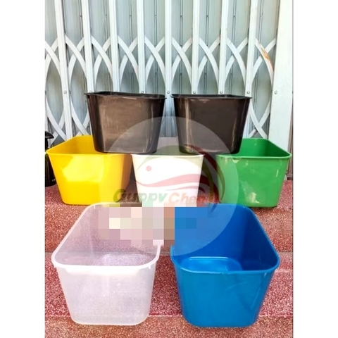 THÙNG NHỰA NUÔI CÁ 7 LÍT 30x22x16cm MÀU TRẮNG -ĐEN - TRONG - Giao hàng hỏa tốc TPHCM