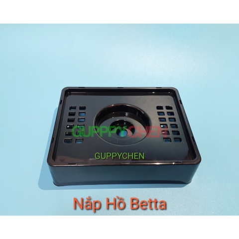 Hồ Nhựa Mini Nuôi Cá 15x12x15 - Betta , Guppy , Cá Thủy Sinh - Cao Cấp Siêu Trong