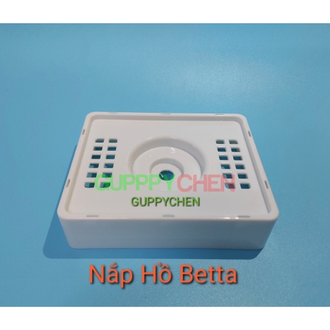 Hồ Nhựa Mini Nuôi Cá 15x12x15 - Betta , Guppy , Cá Thủy Sinh - Cao Cấp Siêu Trong