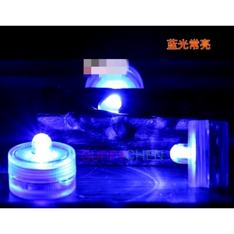 Hồ Nhựa Mini Nuôi Cá 15x12x15 - Betta , Guppy , Cá Thủy Sinh - Cao Cấp Siêu Trong