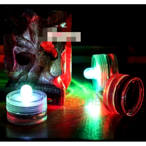 Hồ Nhựa Mini Nuôi Cá 15x12x15 - Betta , Guppy , Cá Thủy Sinh - Cao Cấp Siêu Trong