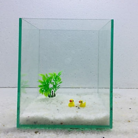 Giao hỏa tốc HCM - Hồ kính mini - Keo show betta guppy kích thước 10x15x15cm