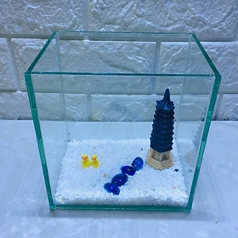 Giao hỏa tốc HCM - Hồ kính mini - Keo show betta guppy kích thước 10x15x15cm