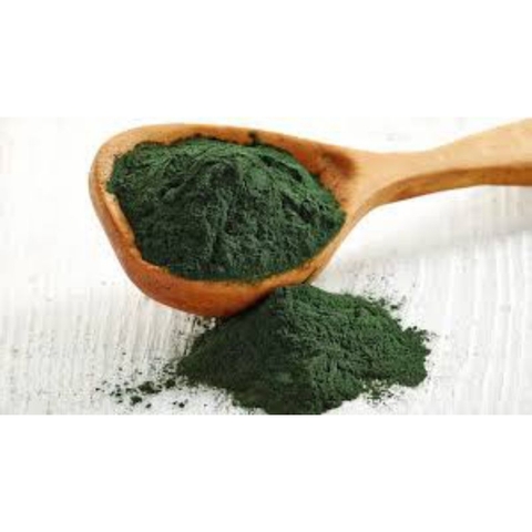 tảo bột - thức ăn atermia sinh khối