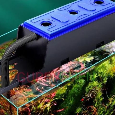 Hộp Lọc Máng Cho Hồ Cá - Hộp Đựng Vật Liệu Lọc ( chưa bao gồm máy bơm và dây ống nước )