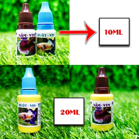 Vi sinh đường ruột + nấm cho hồ cá