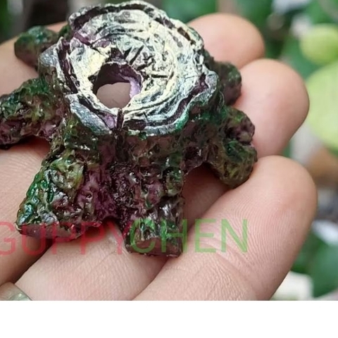 Mô Hình Gốc Cây Nhỏ Mini Trang Trí Tiểu Cảnh Bể Cá Thủy Sinh - Thích Hợp Cho Tép và Cá