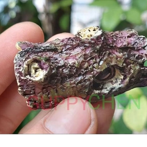 Mô Hình Gốc Cây Nhỏ Mini Trang Trí Tiểu Cảnh Bể Cá Thủy Sinh - Thích Hợp Cho Tép và Cá