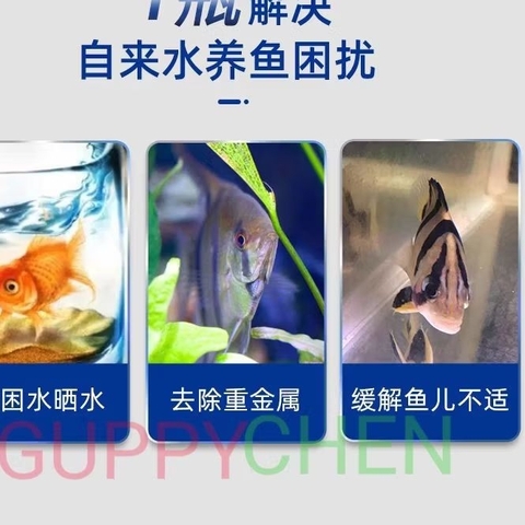 Vi Sinh Sống Biozym N1 Xử Lý Độc Tố và Làm Trong Bể Cá Thủy Sinh Cao Cấp