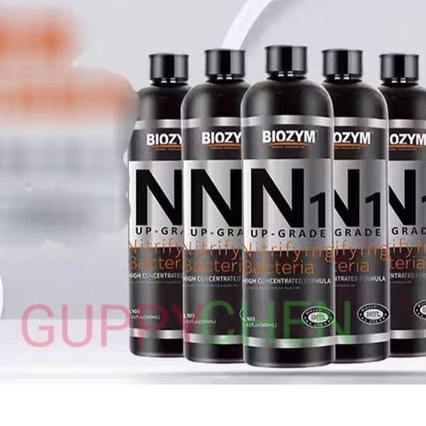 Vi Sinh Sống Biozym N1 Xử Lý Độc Tố và Làm Trong Bể Cá Thủy Sinh Cao Cấp