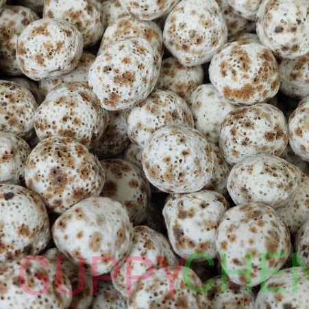 [100gram] Sứ Bi Muối Tiêu - Vật Liệu Lọc Nước Bể Cá