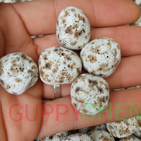 [100gram] Sứ Bi Muối Tiêu - Vật Liệu Lọc Nước Bể Cá