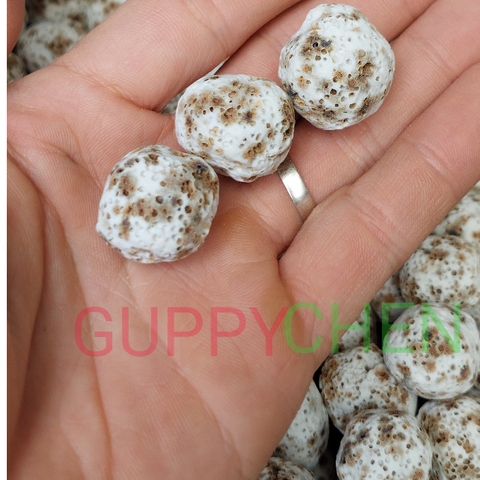 [100gram] Sứ Bi Muối Tiêu - Vật Liệu Lọc Nước Bể Cá