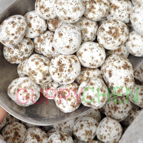 [100gram] Sứ Bi Muối Tiêu - Vật Liệu Lọc Nước Bể Cá