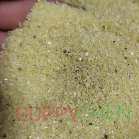 Cát Màu - Cát Thạch Anh Vàng Trang Trí Bể Cá Tiểu Cảnh