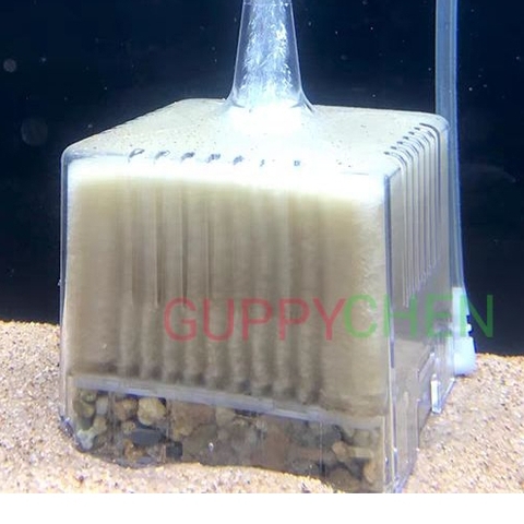 Lọc Vi Sinh Aquablue EF-09 Hỗ Trợ Tăng Vi Sinh Cho Hồ Cá