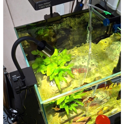 Đèn Rọi Kaokui KK-F05 3W 3 Chế Độ Màu Có Chỉnh Tiêu Cự - Đèn Rọi Mini Đa Năng Dùng Cho Hồ Thủy Sinh