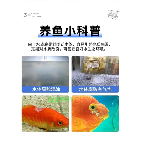 Biozym Ag+ Liquid Yellow - Xử Lý Nấm cá, Thối Thân, Xuất Huyết, Xù Vẩy