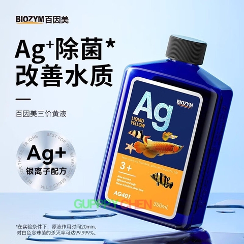 Biozym Ag+ Liquid Yellow - Xử Lý Nấm cá, Thối Thân, Xuất Huyết, Xù Vẩy