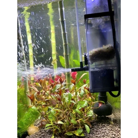 Lọc váng sunsun JY-02 JY-03 cho hồ cá hồ thủy sinh