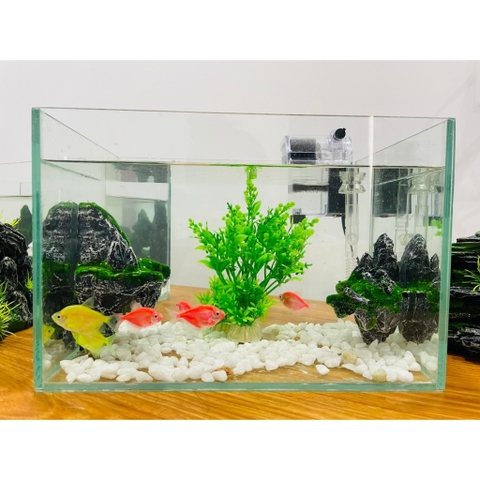 (HOẢ TỐC HCM) COMBO HỒ KÍNH KÈM LỌC VÀ ĐÈN NUÔI CÁ TIỆN LỢI TIẾT KIỆM