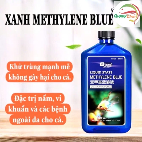 Dung Dịch Khử Khuẩn Xử Lý Nấm Cấp Tốc Yee Methylene Blue - Siêu Phẩm Xử Lý Nấm , Các Vấn Đề Ngoài Dạ Cho Cá