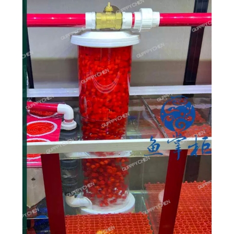 (TẶNG TÚI VLL) Vật liệu lọc cao cấp hạt Kanet ( Kaldnes ) Dùng cho hồ cá hồ thủy sinh