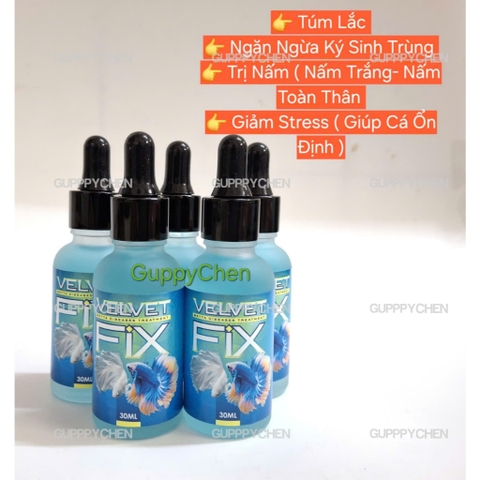 VELVET FIX - Siêu Phẩm Xử Lý Nấm Khử Khuẩn Hồ Cá , Bảo Vệ Chống Sốc Cho Cá Khi Thay Nước