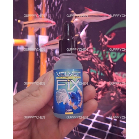 VELVET FIX - Siêu Phẩm Xử Lý Nấm Khử Khuẩn Hồ Cá , Bảo Vệ Chống Sốc Cho Cá Khi Thay Nước