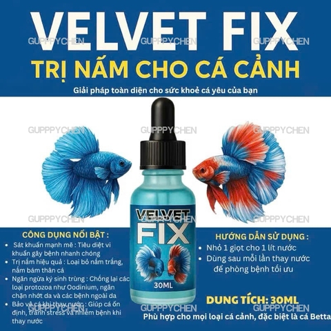 VELVET FIX - Siêu Phẩm Xử Lý Nấm Khử Khuẩn Hồ Cá , Bảo Vệ Chống Sốc Cho Cá Khi Thay Nước
