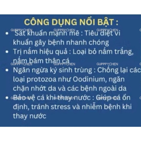 VELVET FIX - Siêu Phẩm Xử Lý Nấm Khử Khuẩn Hồ Cá , Bảo Vệ Chống Sốc Cho Cá Khi Thay Nước