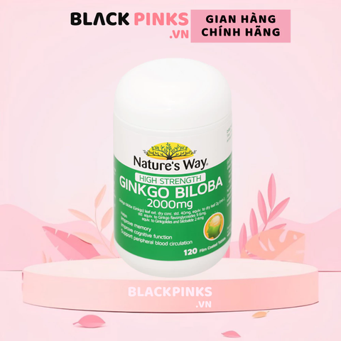 Hoạt huyết dưỡng não Nature's way 2000mg 120 viên