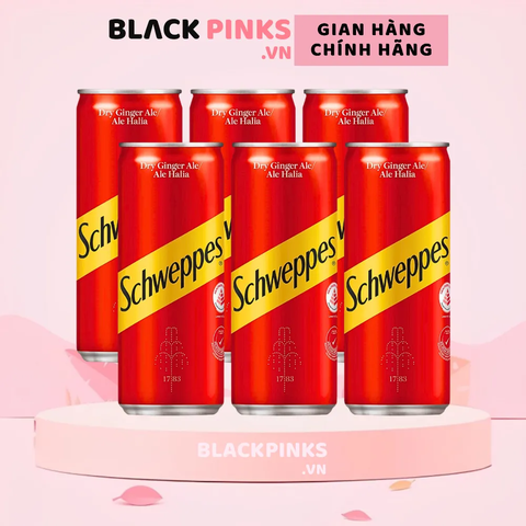 Lốc 6 lon nước soda Schweppes Dry Ginger Ale 320ml