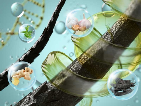 Giảm Rụng Tóc Hiệu Quả Tại Nhà Bằng Phương Pháp Nhân Gian Đơn Giản