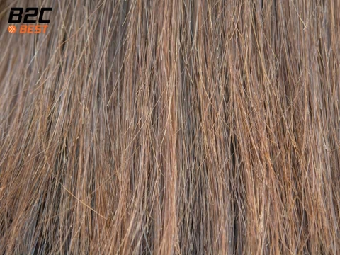 Tóc Rễ Tre Là Gì? Nguyên Nhân, Dấu Hiệu & Cách Chăm Sóc Tóc Hiệu Quả