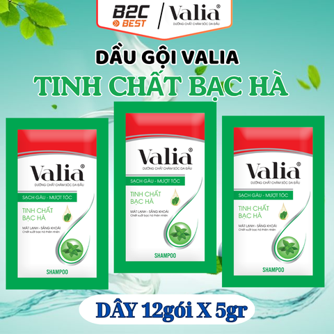 DẦU GỘI SẠCH GÀU TINH CHẤT BẠC HÀ VALIA (DÂY 5G/12 GÓI)