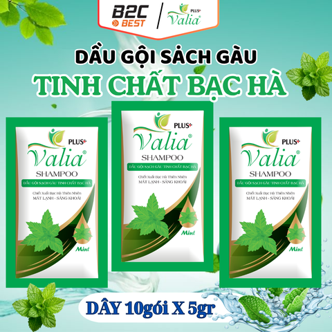 DẦU GỘI SẠCH GÀU TINH CHẤT BẠC HÀ VALIA PLUS (DÂY 5G/10 GÓI)