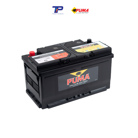 Ắc quy Puma 58039 (80Ah; 730CCA)