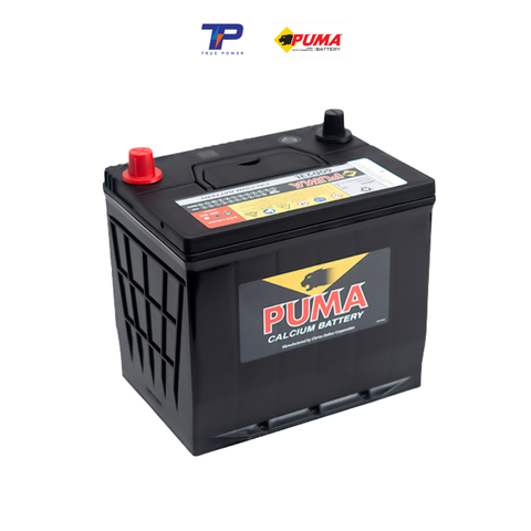 Ắc quy Puma 60D23L (60Ah; 420CCA)