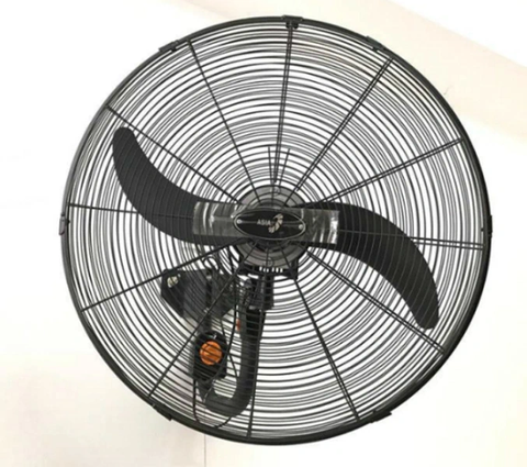 Quạt treo tường công nghiệp Asia L24001-DV0