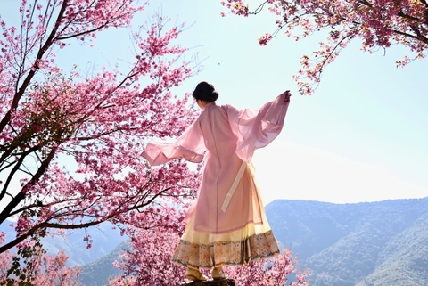 Gợi ý 13 địa điểm hoa anh đào Trung Quốc đẹp nhất xuân này