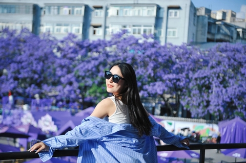 Kinh nghiệm chụp ảnh hoa phượng tím Côn Minh đẹp "triệu like"