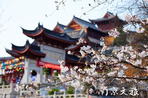 Nam Kinh – Điểm du lịch mùa xuân nổi tiếng Trung Quốc