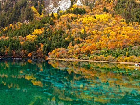 Ngỡ ngàng trước vẻ đẹp kỳ ảo của Cửu Trại Câu mùa thu