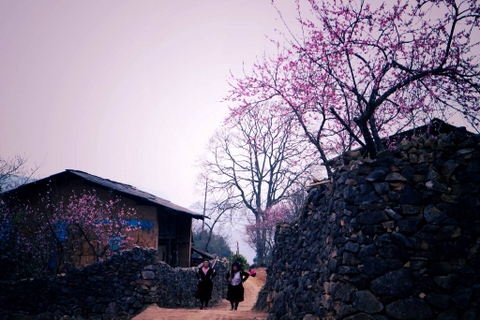 Những bản làng đẹp và yên bình ở Hà Giang nhất định phải đến một lần