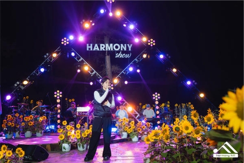 Harmony Show Tuần Châu Hạ Long đêm nhạc giữa rừng thông