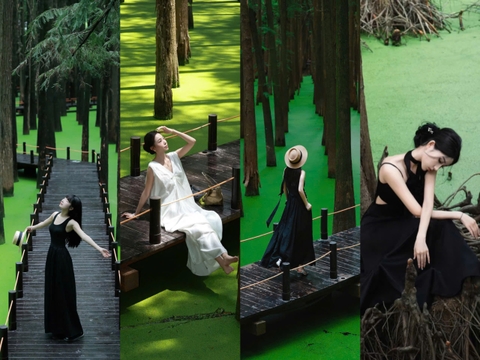 Du lịch rừng ngập nước Thanh Sơn - Hồ Matcha độc đáo ở Hàng Châu